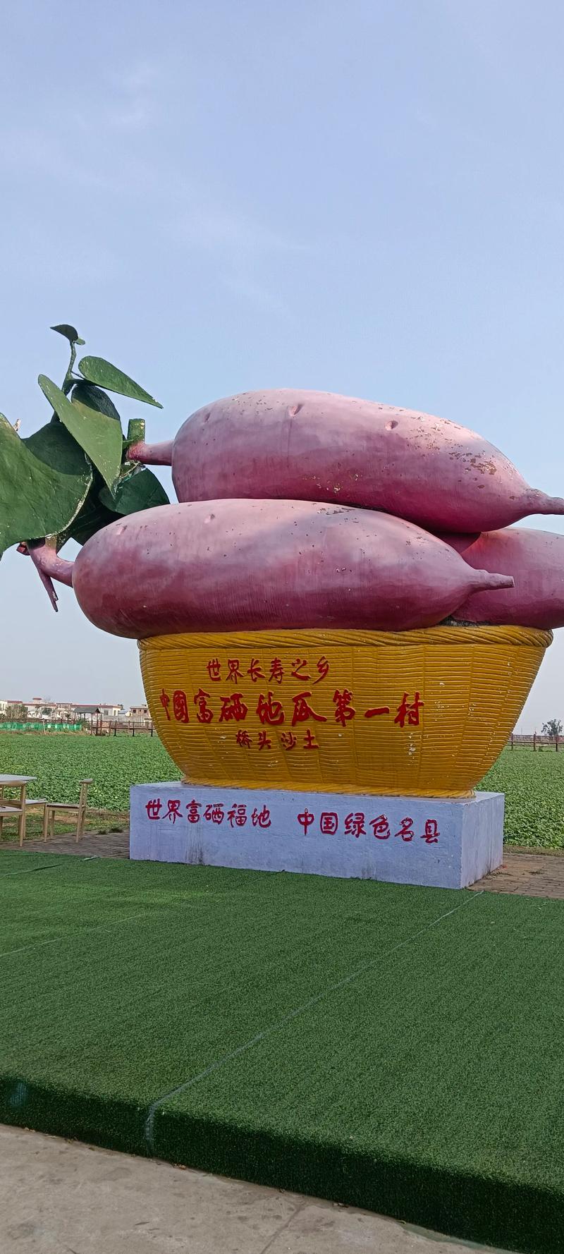 生态农业